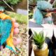 Heartwarming moment woman rescues kingfisher bird after it flew into home