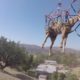 Helicopter Rescues Fallen Horse