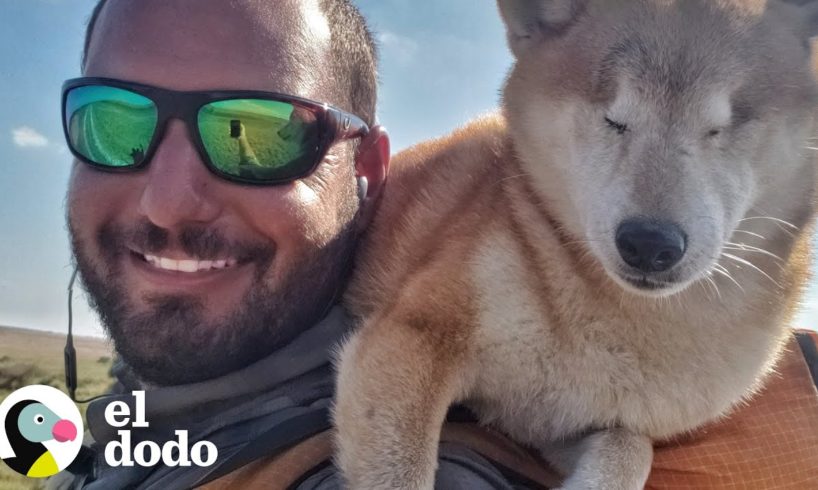 Hombre carga a su perrita por 128 Km después de quedar ciega I El Dodo