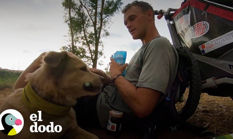 Hombre y su perrita caminan el mundo entero | El Dodo