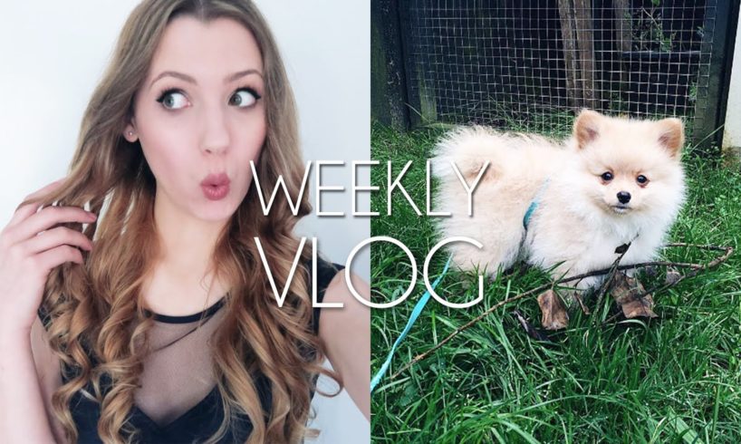 I Dyed my Hair! + World's Cutest Puppy | Weekly Vlog 21