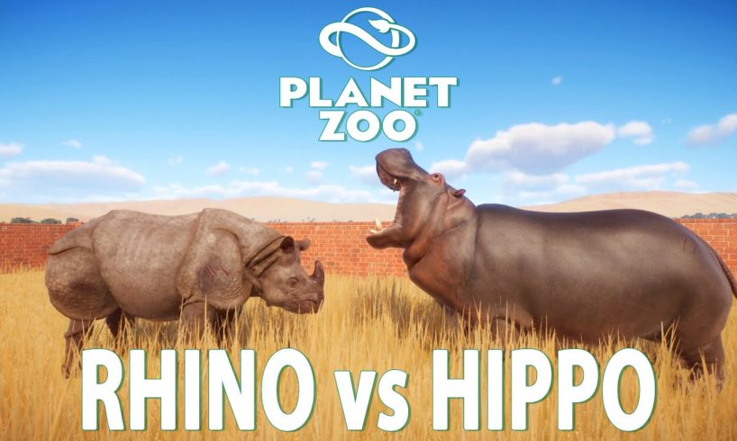 Indian Rhinoceros VS Hippopotamus - PLANET ZOO | Planet Zoo Animal Fights | Planet Zoo