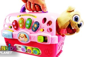 Learn Color Videos: Paw Patrol Skye, Chase & Marshall & Puppy Dog Pals Rolly Carriers Playset