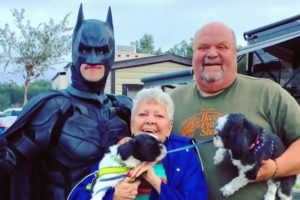 Local Batman rescues cats and dogs