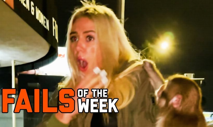 Monkey Attacks Woman! Fails of the Week | FailArmy