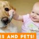 Most Adorable Animal and Baby Compilation 2018 | Funny Pet Videos