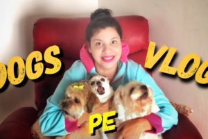 My Dogs Cutest Makeover Ever | SS vlogs :-) | Hindi