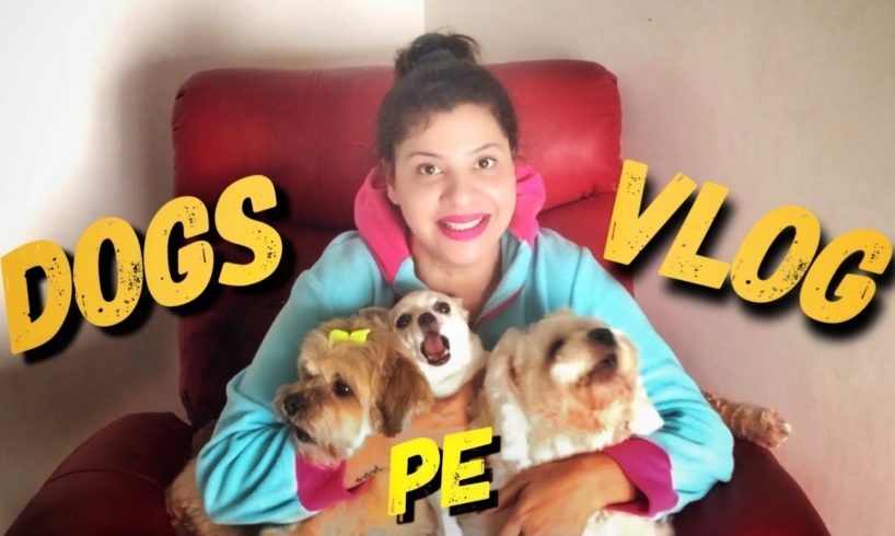 My Dogs Cutest Makeover Ever | SS vlogs :-) | Hindi