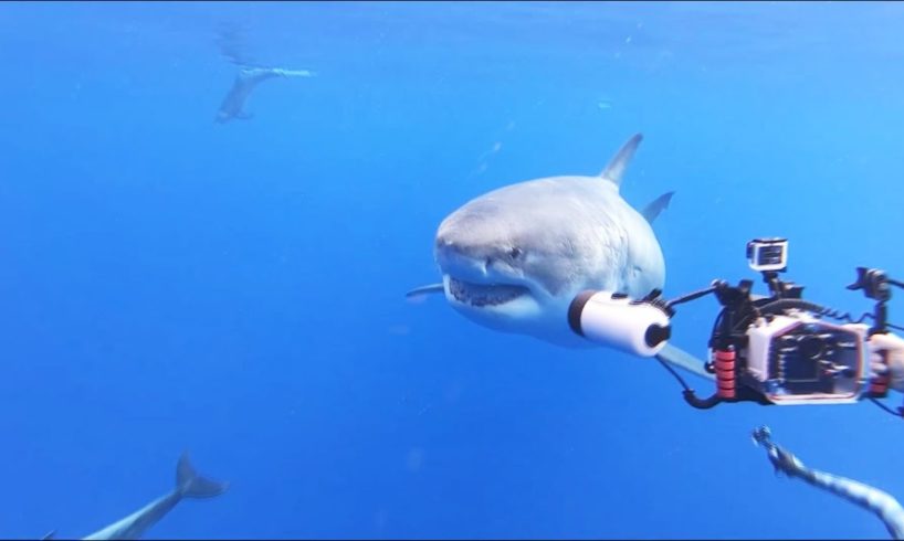 NEAR DEATH CAPTURED by GoPro and camera pt.93 [FailForceOne]
