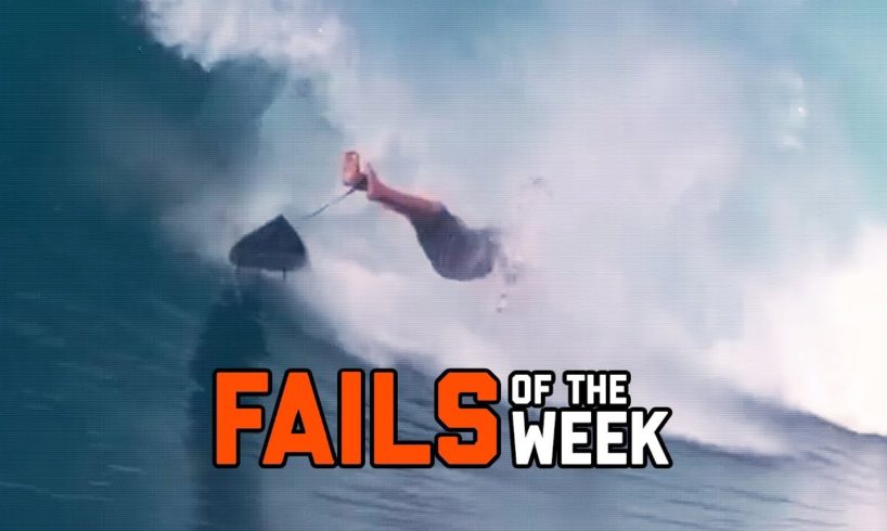 Nature Strikes Back - Fails of the Week | FailArmy