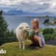 Niña y su oveja comparten la amistad más perfecta I El Dodo