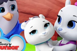 Oh Polar Brother Where Art Thou? ? | National Polar Bear Day | T.O.T.S. | Disney Junior