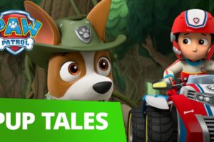PAW Patrol - Pups Save Big Paw - Rescue Episode - PAW Patrol Official & Friends