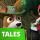 PAW Patrol - Pups Save Big Paw - Rescue Episode - PAW Patrol Official & Friends