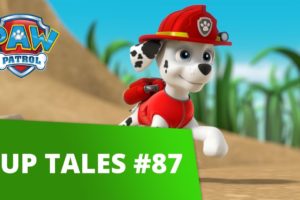 PAW Patrol | Pups Save Tiny Marshall | Rescue Episode | PAW Patrol Official & Friends!