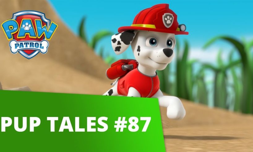 PAW Patrol | Pups Save Tiny Marshall | Rescue Episode | PAW Patrol Official & Friends!