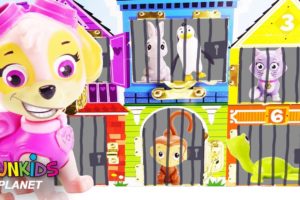 Paw Patrol Skye & Chase Rescues Puppy Dog Pals and Pets
