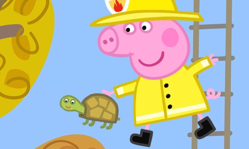 Peppa Pig Official Channel | Peppa Pig Saves Mr Tiddles!