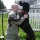 Perros leales reciben a sus padres soldados cuando regresan a casa | El Dodo