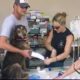 Post Katrina NOLA Dog Rescues - Various & Winn Dixie RAW Footage from WA2S Films