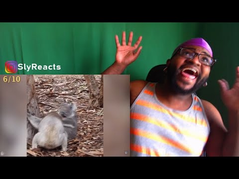 REACTION | 10 CRAZIEST ANIMAL FIGHTS CAUGHT ON CAMERA PART 2