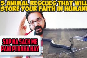 Rj Reaction to 5 animal rescues that will restore your faith in humanity