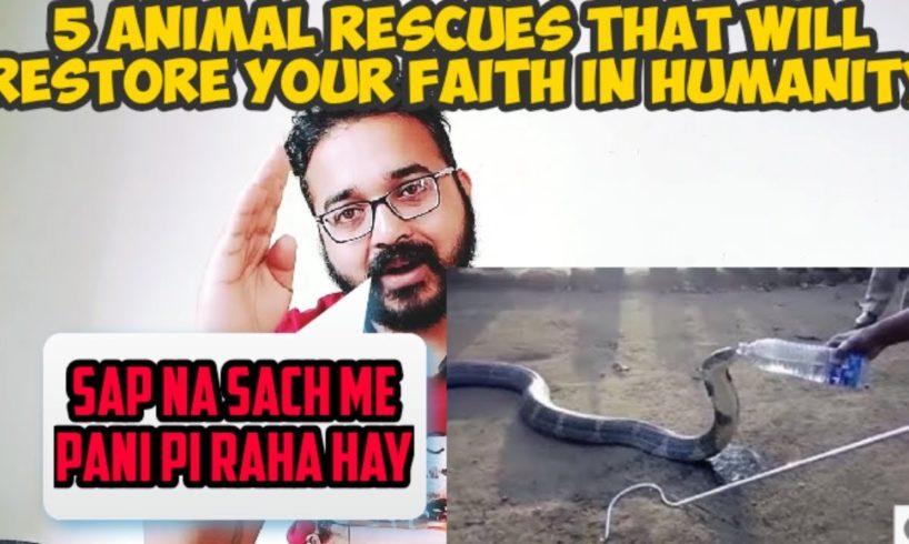 Rj Reaction to 5 animal rescues that will restore your faith in humanity