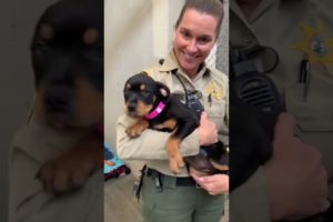 SLO Sheriff Deputy Rescues Animal Shelter puppy