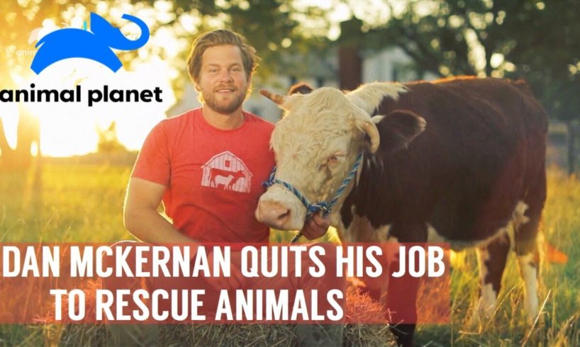 Saved By The Barn (Animal Planet) Dan McKernan Rescues Farm Animals | Barn Sanctuary