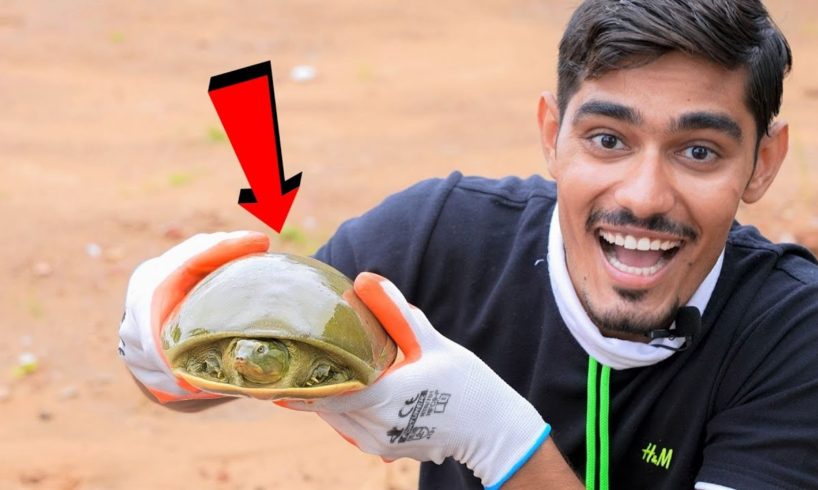 Saving a Tortoise- Rescue Mission | अचानक से मेरे घर में ये कछुआ आ गया | Best Feeling Ever