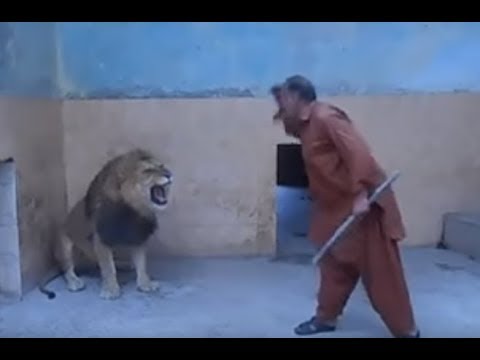 Stupid Zoo Keeper Almost Lost His Arm!!!