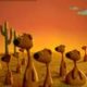 The Animals Save the Planet - Meerkat Traffic