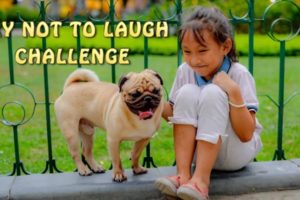 ?The Funniest & Cutest Dogs And Kids ? TRY NOT TO LAUGH CHALLENGE 2020!