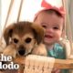 This Puppy And Baby Sister Are Perfectly In Sync With Everything They Do | The Dodo Soulmates