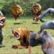 Top 100 Fights Of Wild Animals Caught On Camera: Gorilla, Lion, Baboon, Leopard, Hippo, Wild Dogs
