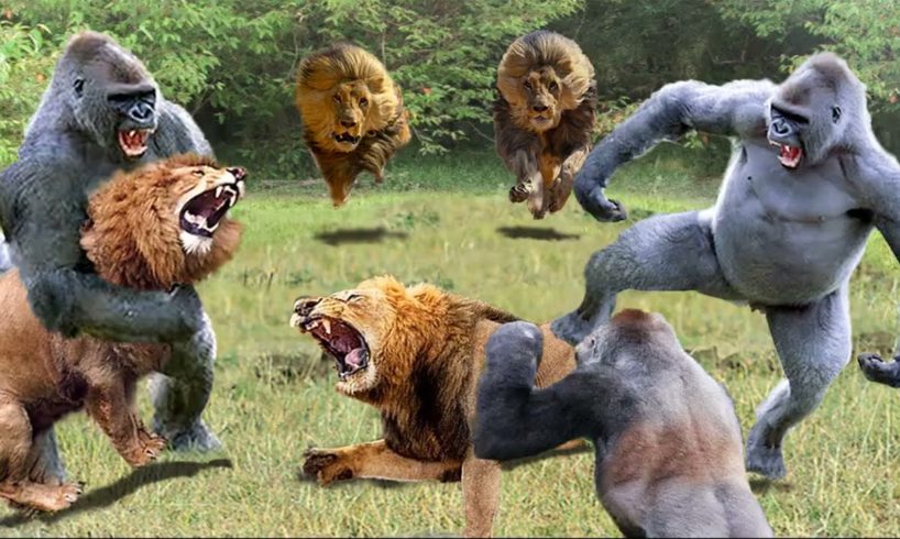 Top 100 Fights Of Wild Animals Caught On Camera: Gorilla, Lion, Baboon, Leopard, Hippo, Wild Dogs