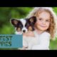 Top Cutest  Puppies In The World |Dog Breeds| Puppies Breed Name|German shepherd,Shih Tzu & Many Mor