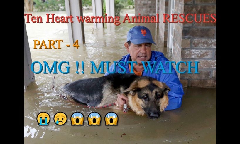 Top Hilarious heart breaking animal rescues in india | You will be cry. PART- 4