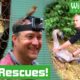 Top WILDLIFE RESCUES of 2019!