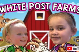 WHITE POST ANIMAL FARM / FEEDING ANIMALS / PETTING ZOO / GOAT / RING TAIL LEMUR / WHITE POST FARM