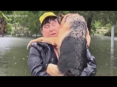 While others rescue people in flooding, this man rescues animals