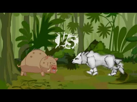 Wild Boar vs Wolf || Animal Fighting Animation