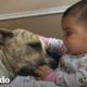 ¡Esta bebé encontró al mejor amigo con quien hacer todo! | El Dodo