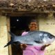 చేపల పులుసు | The Best Ever Fish Curry |Chepala Pulusu Iబామ్మ గారి చేపల పులుసు | పల్లెటూరి చేపల కూర