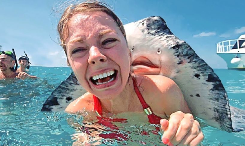 15 Friendliest Sea Creatures Around The World