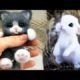 Cute baby animals Videos Compilation cute moment of the animals - Cutest Animals #32