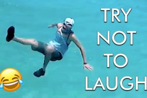[2 HOUR] Try Not to Laugh Challenge! Funny Fails ? | Best Funny Fails | Funniest Videos | AFV live