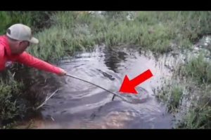 6 Crocodile Encounters You Should Avoid Watching (Part 4)