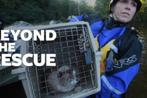 A behind-the-scenes look at animal rescues during disasters.