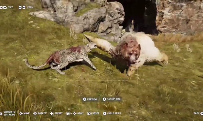 ASSASSINS CREED ODYSSEY - ALL ANIMAL FIGHTS - PART 4!!!!